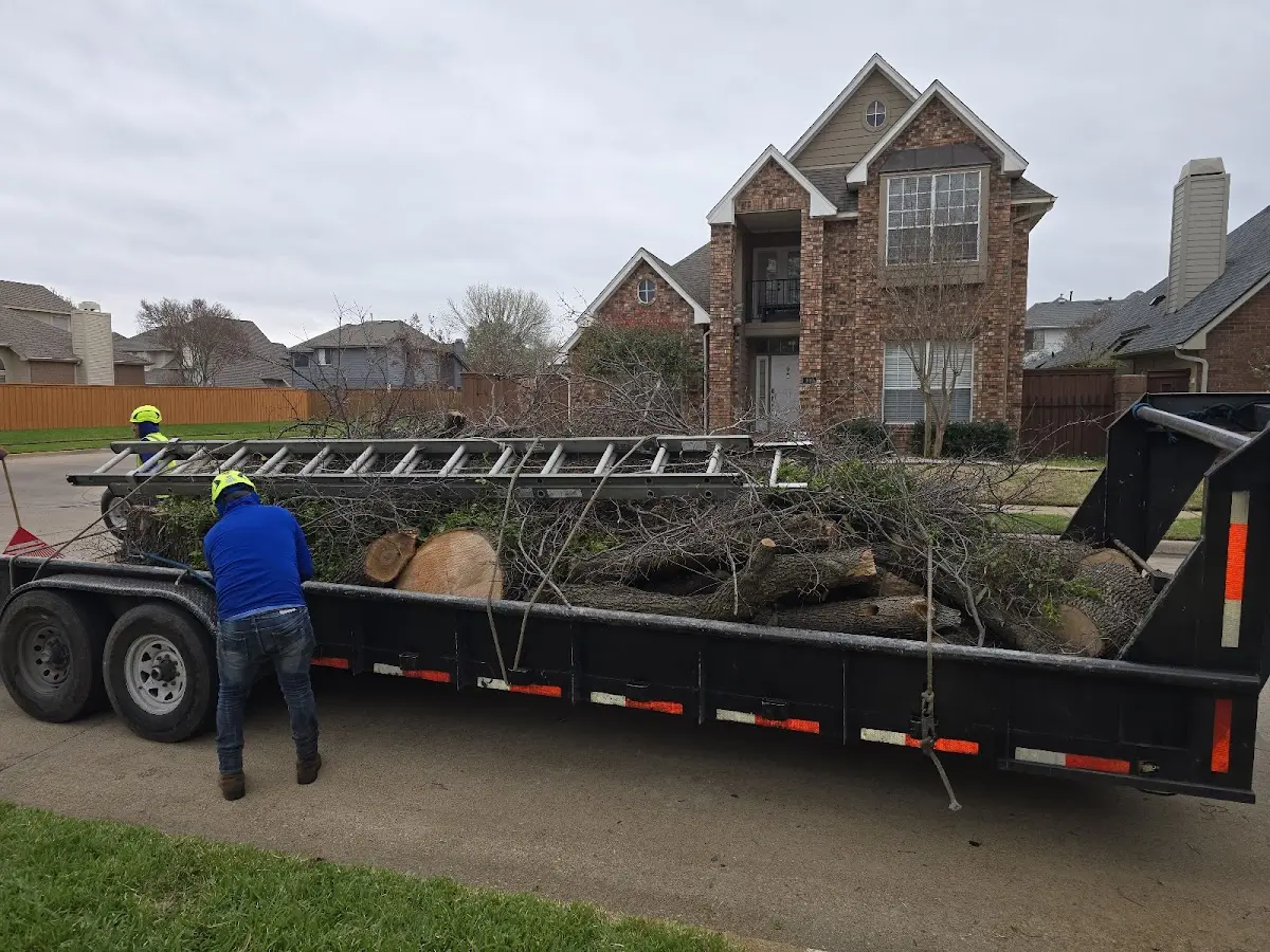 Expert Tree Removal with proper safety equipment in Mc Clure